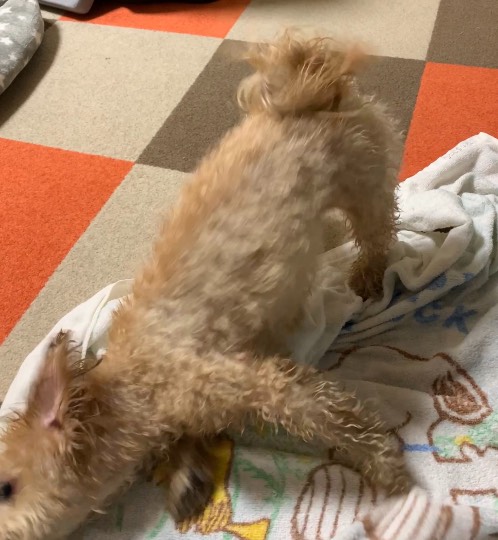 生き物ルーム第29