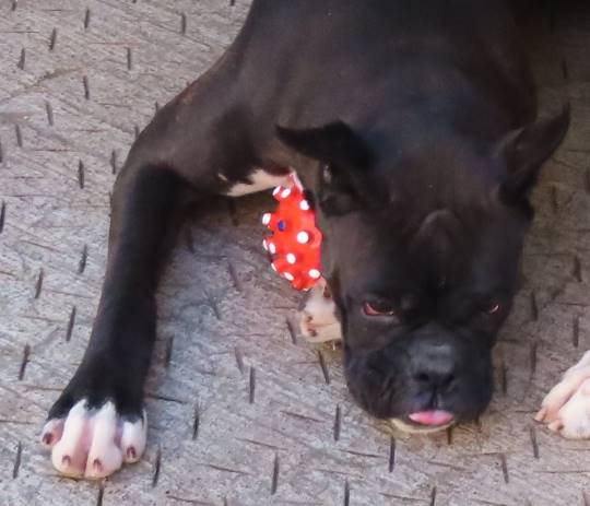 生き物ルーム28