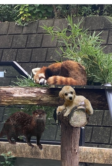 生き物ルーム第27