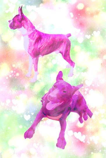 生き物ルーム第27