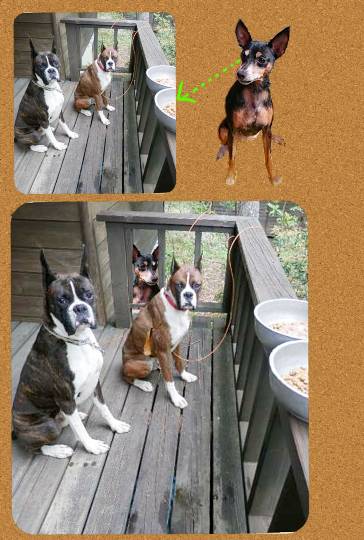 生き物ルーム第29