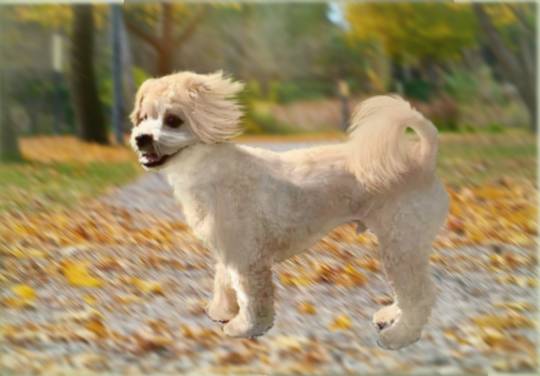 生き物ルーム28