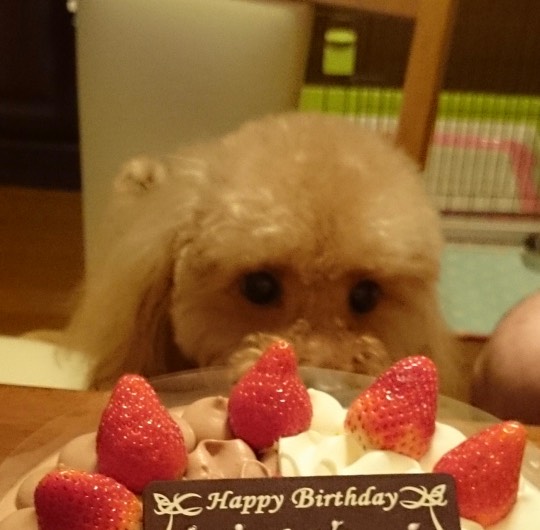 生き物ルーム第29