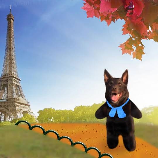 生き物ルーム第29