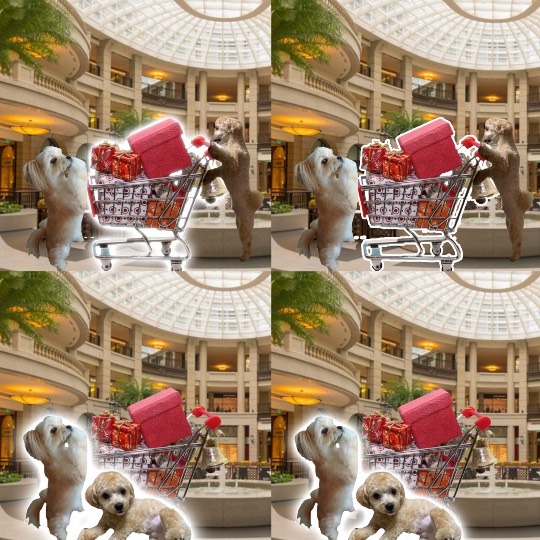 生き物ルーム第29