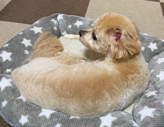 生き物ルーム第26