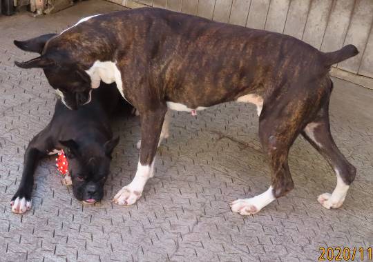 生き物ルーム28