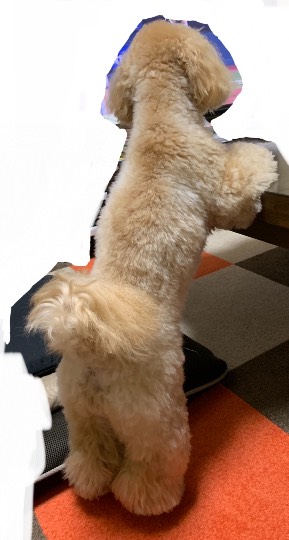 生き物ルーム第27