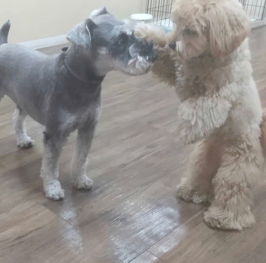 生き物ルーム第29