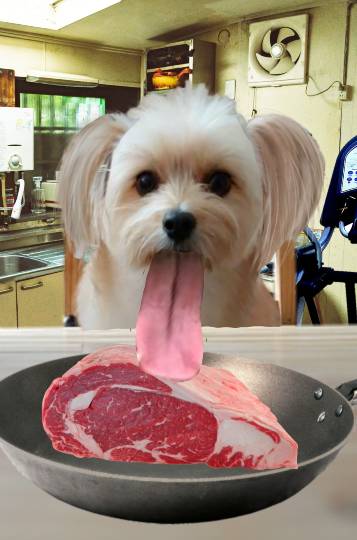 生き物ルーム28