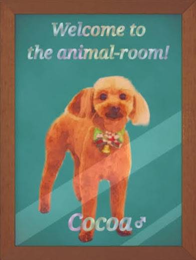 生き物ルーム第29