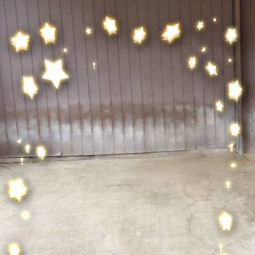 生き物ルーム28