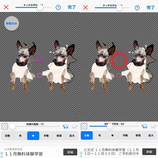 生き物ルーム第27