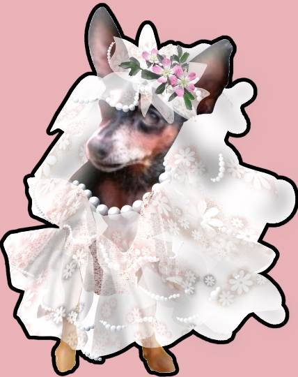 生き物ルーム第27