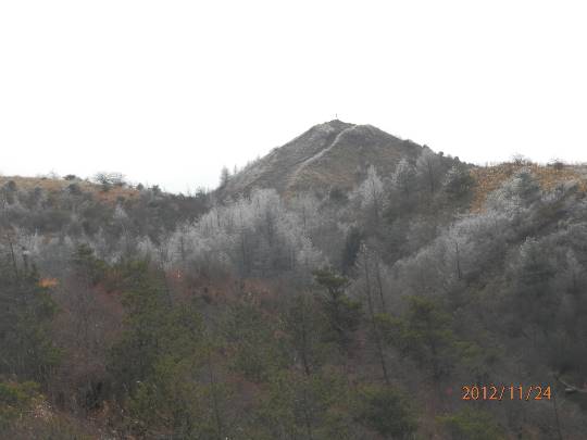 花鳥風月に心を込めて...　(エアー花トピ2)