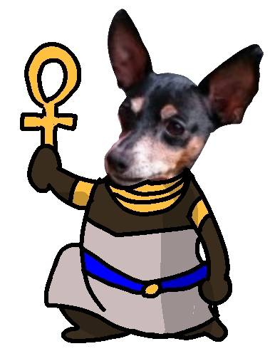 生き物ルーム第26