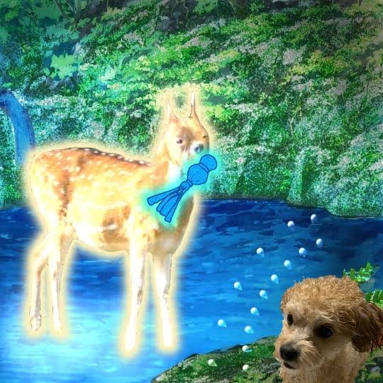 生き物ルーム第29