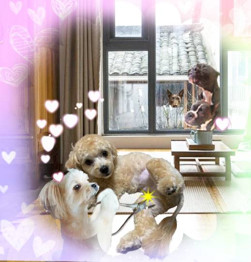 生き物ルーム28