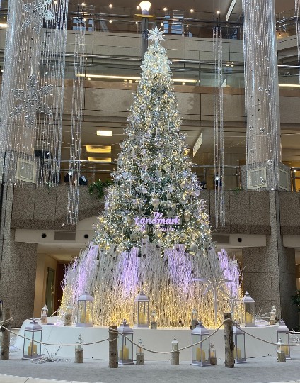 コストコユーザーのドンキ♡♡ロピア 雑談 2