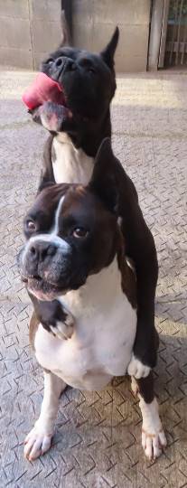 生き物ルーム第29