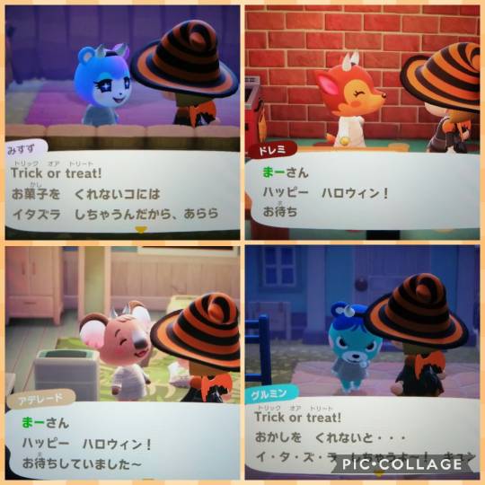 あつまれゲーム好きさんの森Ⅵ 雑談もあるばってん