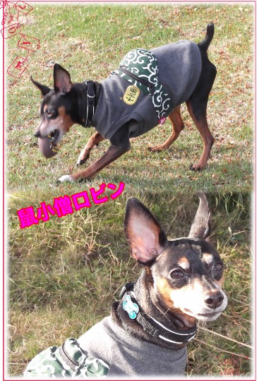 生き物ルーム第27