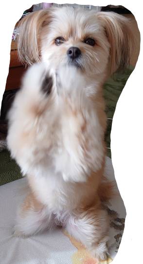 生き物ルーム第29