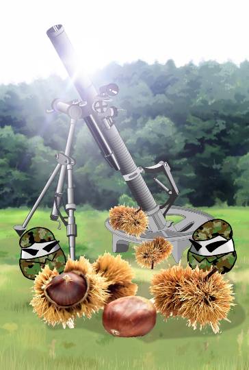 生き物ルーム28