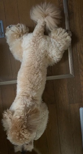 生き物ルーム第26