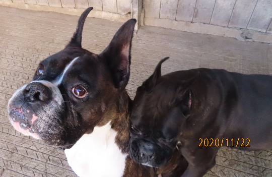 生き物ルーム第29