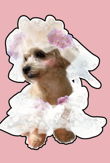 生き物ルーム第27