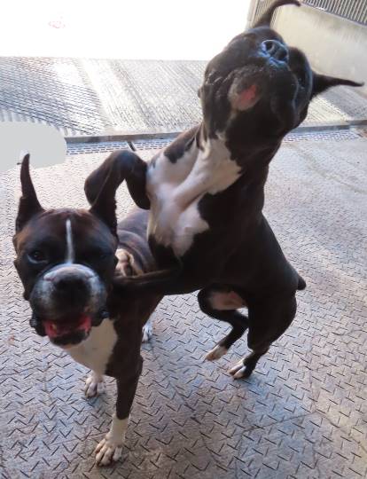 生き物ルーム第29