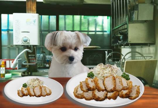 生き物ルーム第26