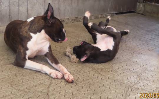 生き物ルーム第29