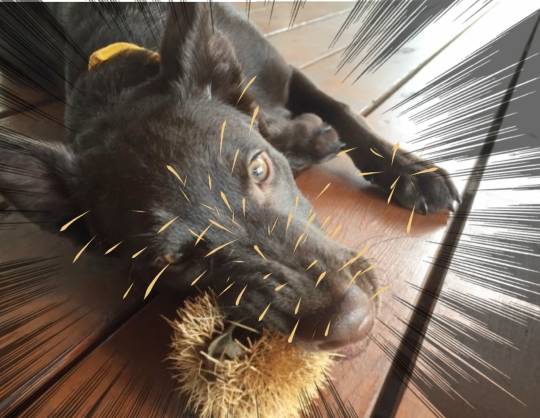 生き物ルーム28