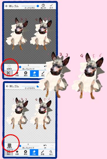 生き物ルーム第27