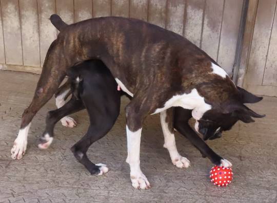 生き物ルーム第27