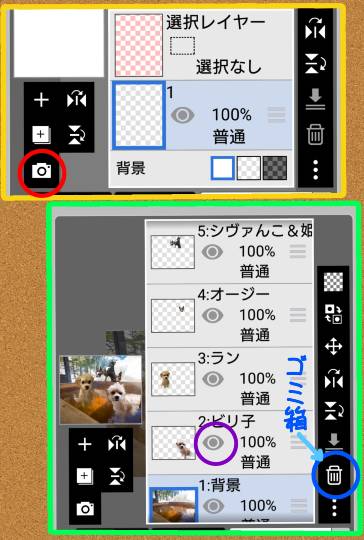 生き物ルーム第29