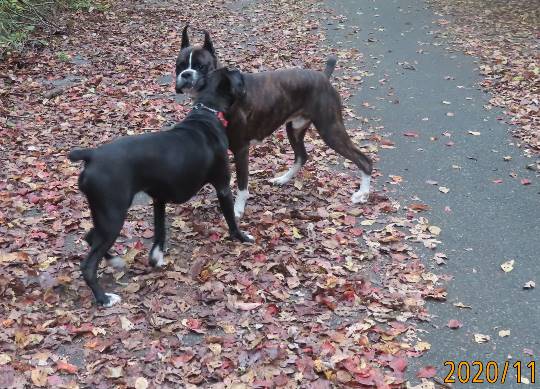 生き物ルーム28