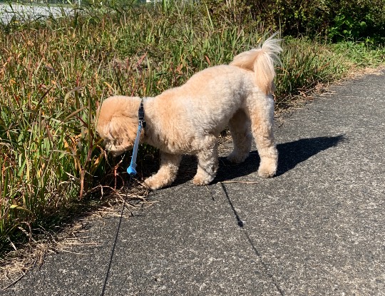 生き物ルーム28