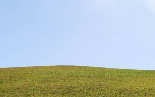 生き物ルーム第27