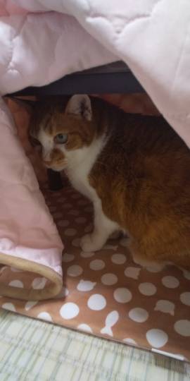 生き物ルーム第29