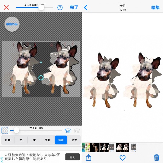 生き物ルーム第27