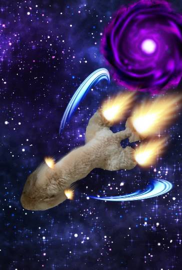 生き物ルーム第26