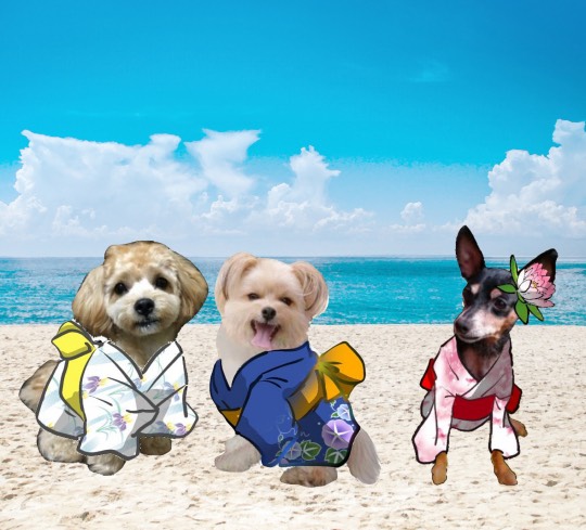 生き物ルーム第27