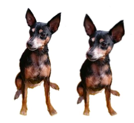 生き物ルーム第27