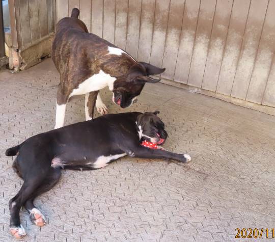 生き物ルーム第27