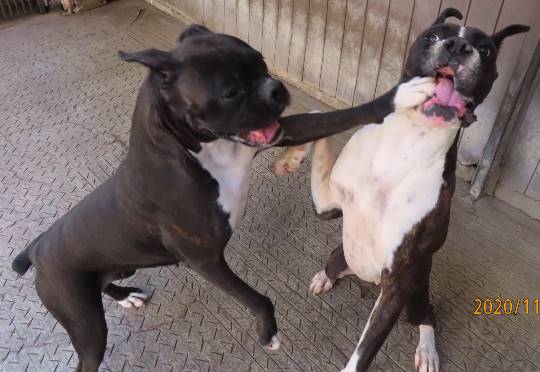 生き物ルーム第27