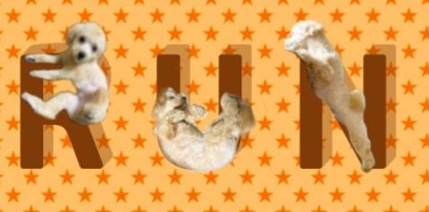 生き物ルーム第27