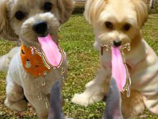 生き物ルーム第26